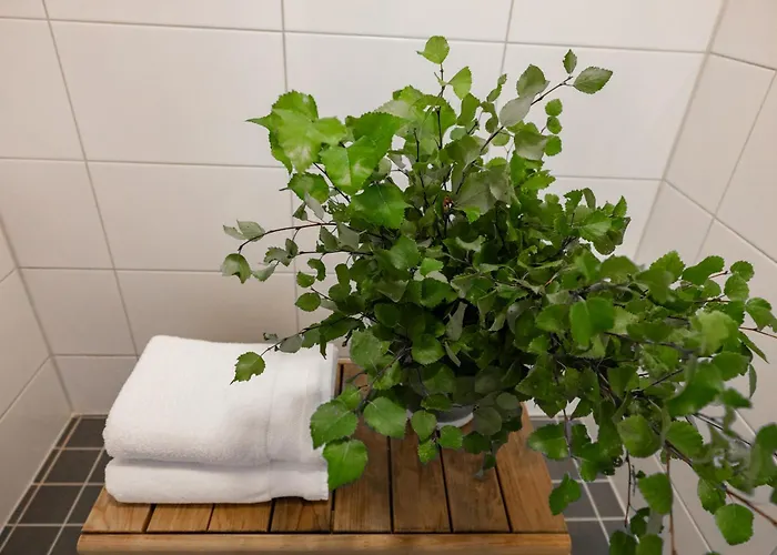 Arctic Clover * Rovaniemi